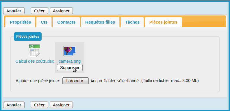 Pièce jointe sélectionnée